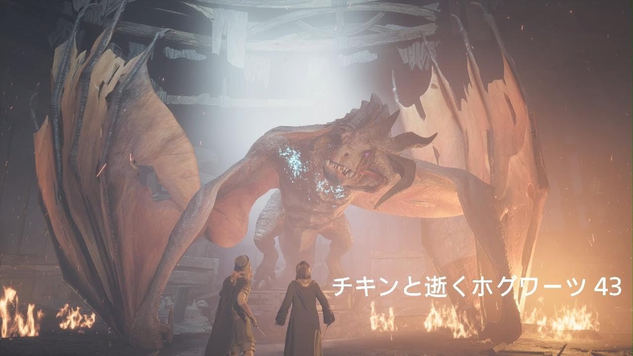 【ホグワーツ・レガシー】チキンと逝くホグワーツ #43