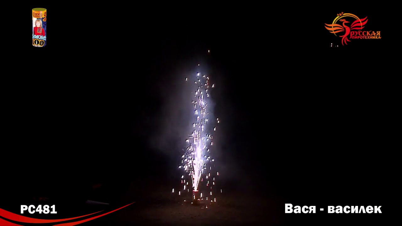 PC481 Вася - василек - YouTube