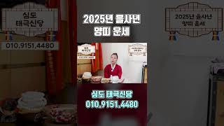 2025년 미리보는 하반기 양띠운세!! #2025년운세 #하반기운세 #하반기양띠운세 #2025년하반기운세 #양띠운세