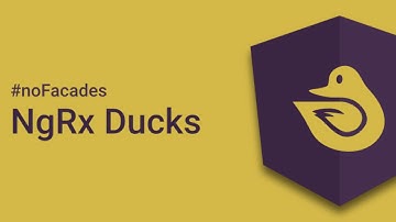 NgRx Ducks 9 - API Discussion