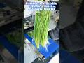 Automatic Indian Lettuce Packing Machine: High-Speed Wrapping Solution Factory Direct Supplier 🥬
