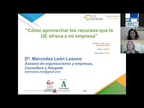 Seminario CEA + empresas. WEBINAR: Cómo aprovechar los recursos que la UE ofrece a mi empresa