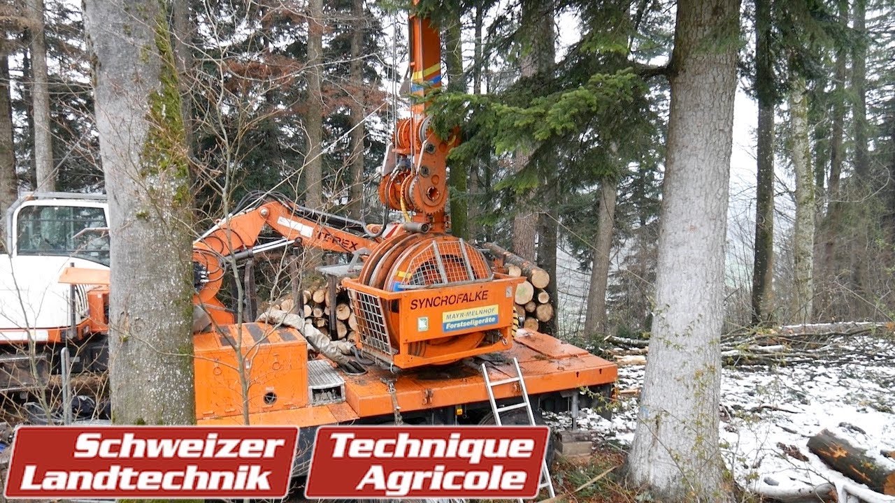 Seilkran-Anlage: Holzernte in unwegsamen Lagen