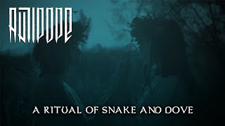 ANTIPOPE A Ritual of Snake and Dove Official Music Video
ANTIPOPE A Ritual of Snake and Dove Official Music Video from the album Doors of the Dead out October 25th, 2024 on Moribund Records!
Purchase ANTIPOPE Doors of the Dead CD here:
http://www.moribundcult.com/product/DEAD328.html
Subscribe to the Moribund Records Official YouTube here:
https://www.youtube.com/@MoribundOfficial
Follow ANTIPOPE:
https://www.antipope.info/
https://www.facebook.com/Antipope/
https://www.youtube.com/user/antipopeband
https://antipope.bandcamp.com/
https://antipope.bandcamp.com/album/Doors-of-the-Dead
https://twitter.com/antipope_band
https://www.instagram.com/antipopeofficial/
https://open.spotify.com/artist/4d9JpfcHasCoPlXmjSD048
Follow Moribund Records:
https://moribundrecords.bandcamp.com/
https://www.facebook.com/MoribundRecordsOfficial/
https://www.instagram.com/moribund.official/
https://twitter.com/moribundrecords
https://open.spotify.com/user/0sa137yc9x8v3rshkcl2n4wiq
https://www.moribundcult.com
Video Creator: Luiz Arruda at https://www.facebook.com/audiopowerstudio
Video Producer: Odin The Old Goat Thompson for Moribund Records
© / P 2024 Moribund Records / Moribund Cult Music
https://www.moribundcult.com
#blackmetal #blackmetalpromotion #blackmetalmusic #thrashmetal #deathmetal #blackdeathmetal #blackthrashmetal ANTIPOPE A Ritual of Snake and Dove Official Music Video