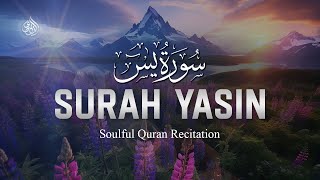 Surah Yasin   Soulful Quran Recitation   Saad Alghamdi English Translation