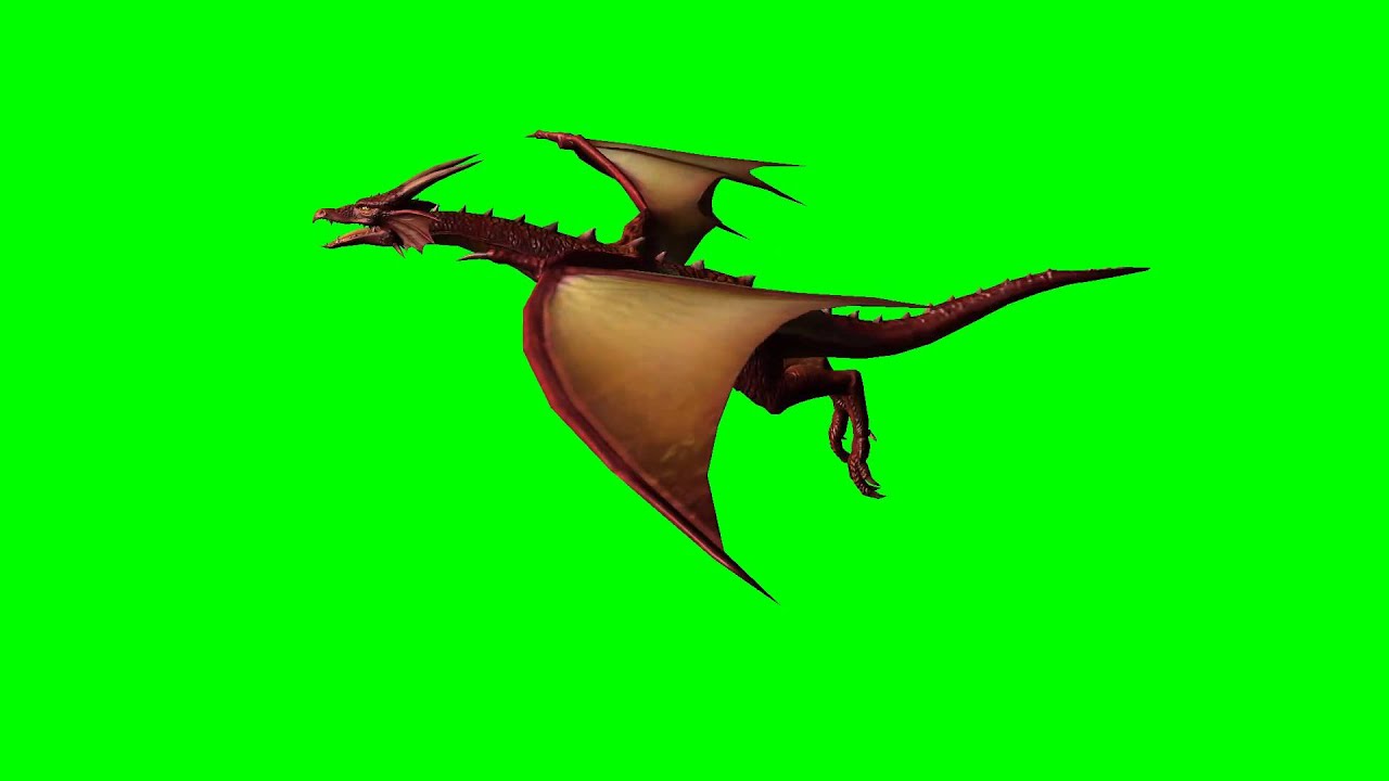 Dragon in fly - green screen effects - free use - YouTube