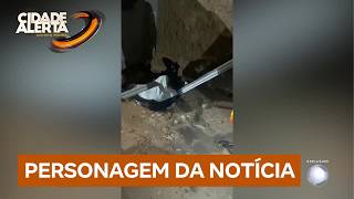 R7 DIRTY DOG LINK PHONE SAVES DOG 08/18 News