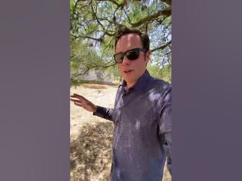 What Happens to Cows in Texas’ Heat? It’s Far More Shocking Than You What Happens to Cows in Texas’ Heat? It’s Far More Shocking Than You