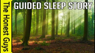 The Secret Well: Guided Deep Sleep Story (Haven Series)