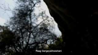 carnatic Guitar Symphony in Raag Gangeyabhooshani by Wadinlara