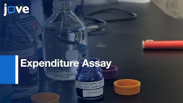 High Throughput Danio Rerio Energy Expenditure Assay l Protocol Preview