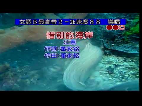 惜別的海岸~江蕙~女B調~伴奏~導唱~金嗓(丙)