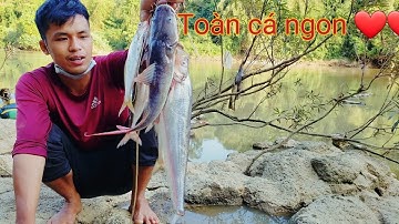 Truy tìm thủy quái tập 6 / Những cá ngon nhất ❤❤