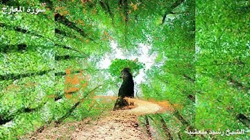 المصحف المرتل للشيخ رشيد بلعشية ((سورة المعارج))