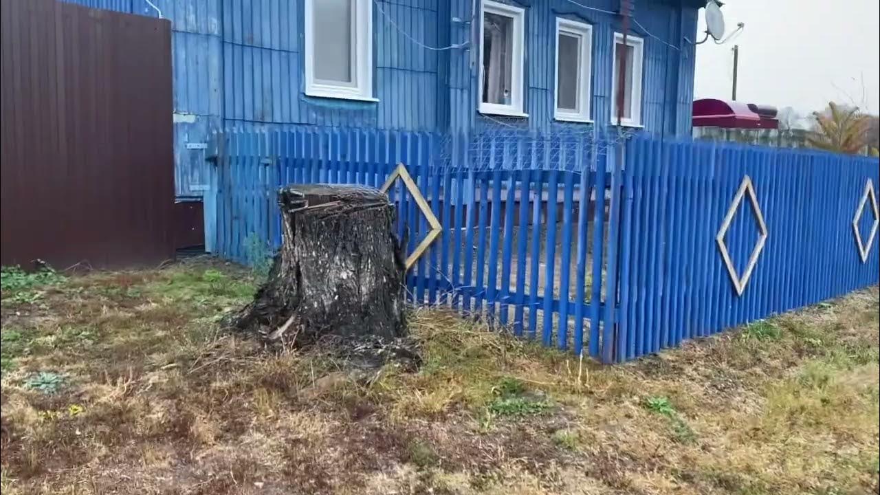 ПОВЕСИЛИ НОВУЮ ПОЛОЧКУ, КАК ПРОСВЕРЛИТЬ СТЕНУ И НЕ НАПЫЛИТЬ, ЧТО РАСТЁТ ...