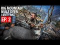 Big mountain mule deer  ep 2  last day buck   gritty 4k film