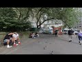 Central Park Pigeons H1078 YT VR180 injected