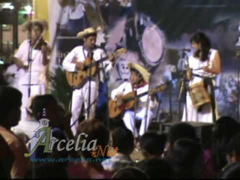 Son Raiz - Arcelia, Guerrero - Los Nietos de Don J...