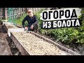 Высокие грядки  на болоте, такого огорода мы еще не делали