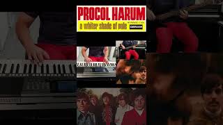 Procol Harum - A Whiter Shade Of Pale  #procolharum #awhitershadeofpale #synthcover #basscover
