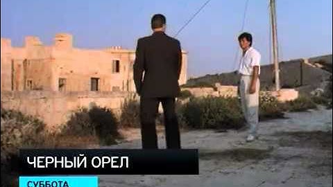 Гордо реет черный орел