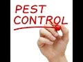 Pest Control Services for Rats, Mice and Insects