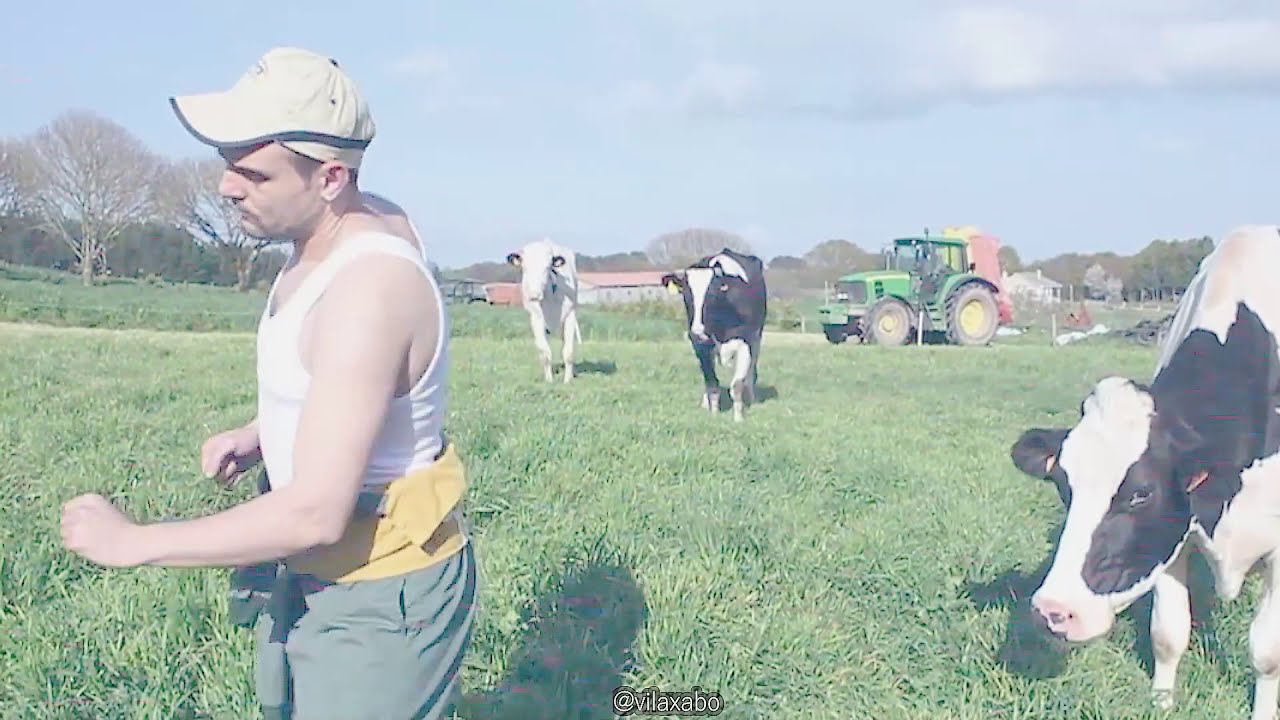 𝙿𝚁𝙴𝙽𝙳𝙴𝙼𝙴 𝙾 𝙱𝙾𝙸 （ピンクのリニャレス）