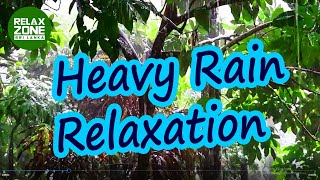 Rainforest Sri Lanka | Heavy Rain Relaxation video | Relaxation Video | Rainforest Relaxation Lanka