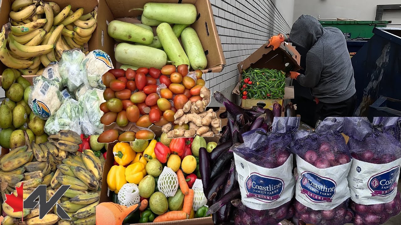 Dumpster Diving todo hakot sa mega biyayang basura at sa sako sakong sibuyas