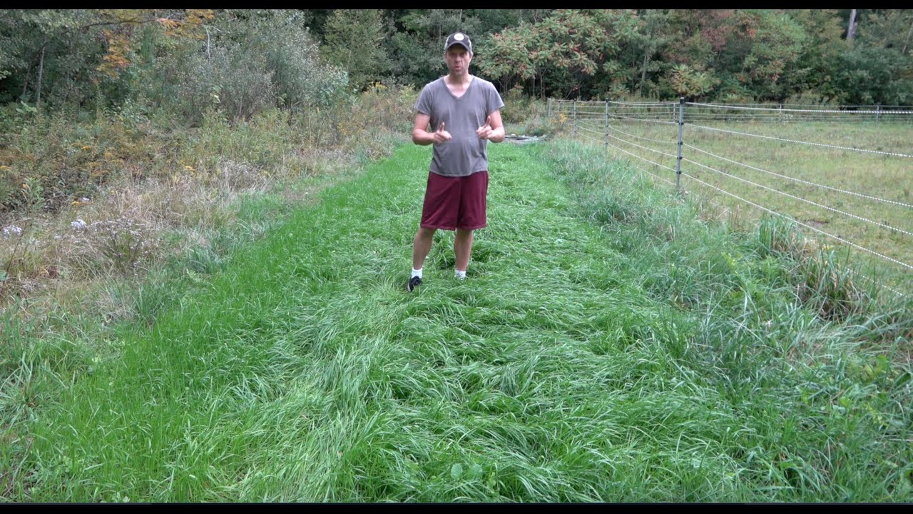 Ambush Food Plot - No Equipment Needed!