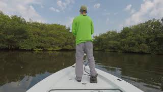 SAWFISH RECOVERY VIDEO