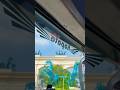 Wisata di Citra Raya Tangerang #shorts