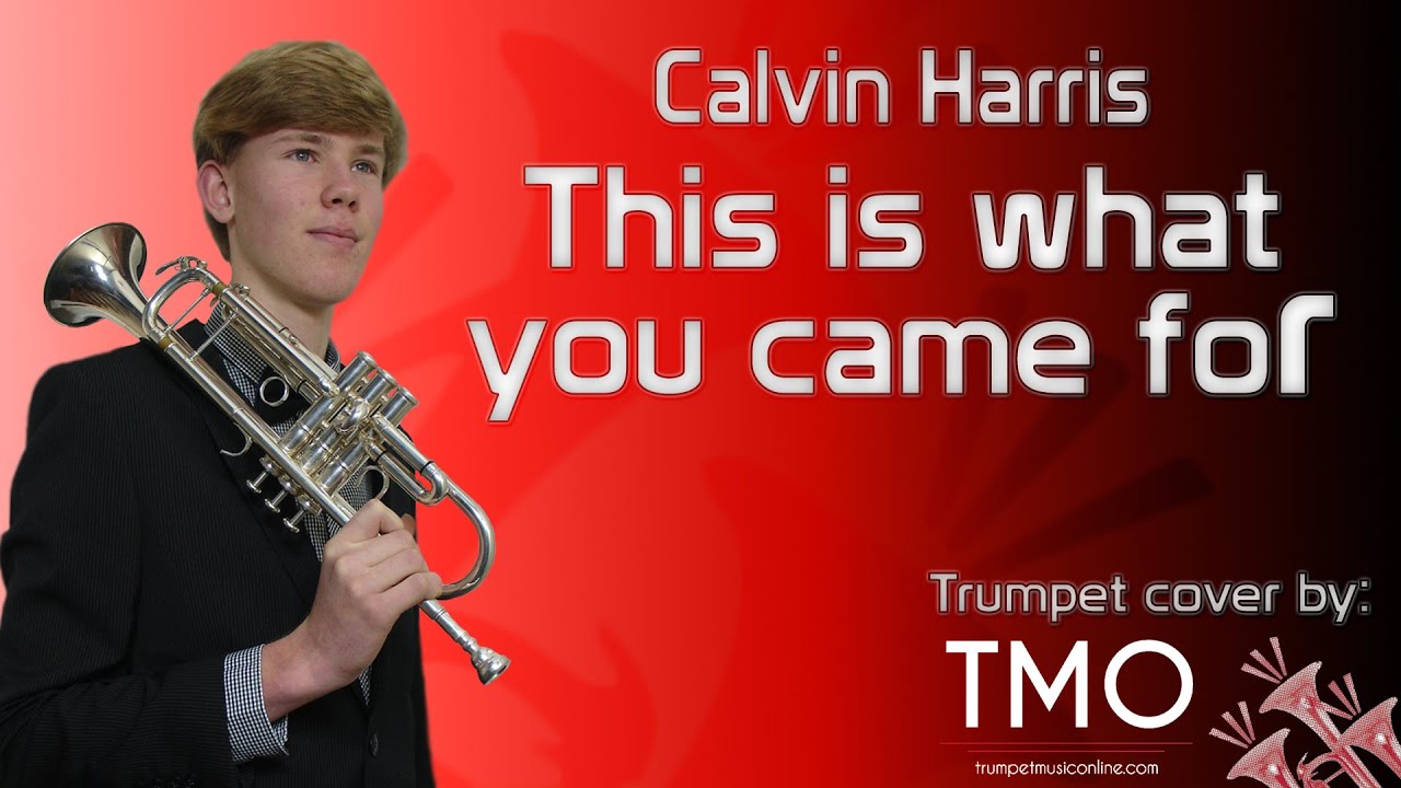 Calvin Harris - This is what you came for (TMO Cover)