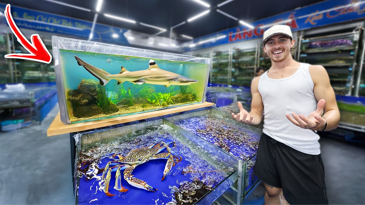Exposing This Illegal Fish Market... (The Shark Trade)
