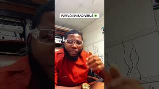 Parvo virus is Very deadly 🌚#fyp #creatorsearchinsights