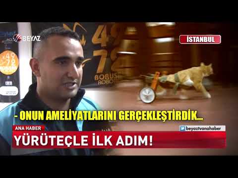 Yürüteçle ilk adım