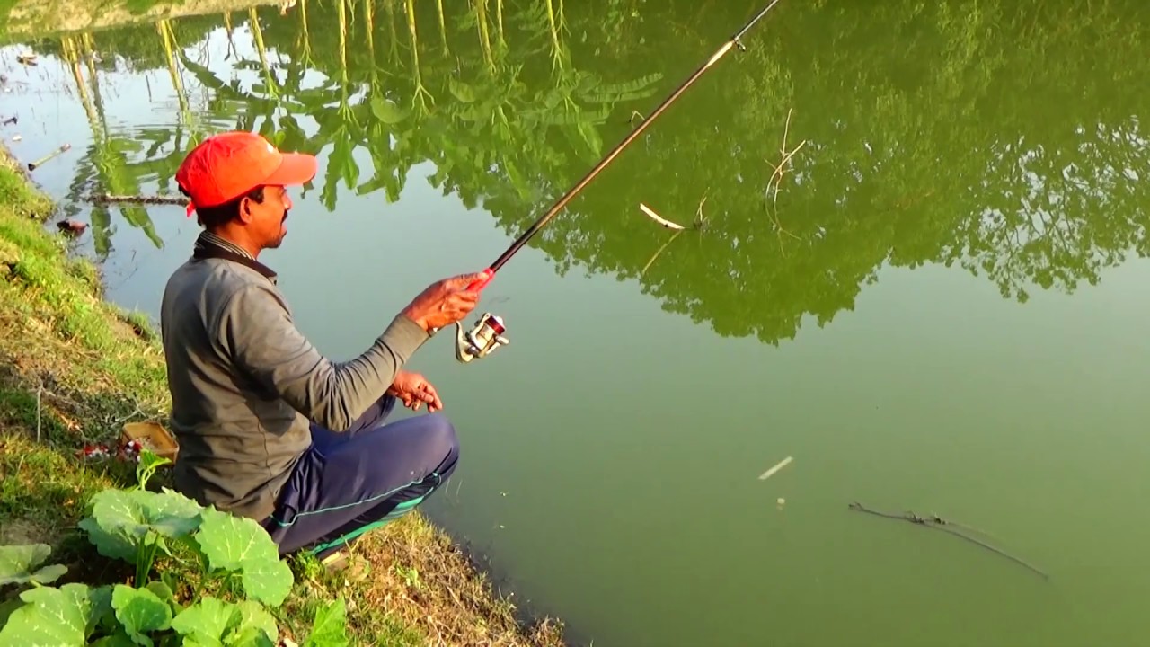 Best Fish Catching Videos By Sondip Using Rod In Village Pond