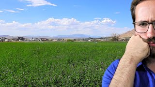 Why 80% of Utah's Water goes to ONE Crop