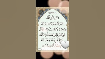 ومن يتقِ الله يجعل له مخرجا.من سورة الطلاق🌷