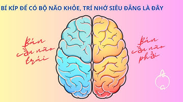 Làm gì để có một bộ não khỏe mạnh, trí nhớ siêu đẳng.