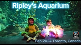 Chrisfm Toronto Aquarium Ripleys - Путешествие По Торонто Аквариум Рипли Feb 2024
