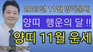 양띠의 2023년 11월 운세입니다 종합운 금전운 연애운  / 양띠운세 총정리 / 91년생 79년생 67년생…