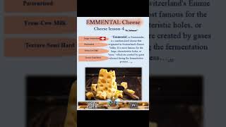 Emmental Cheese @ cheese lesson -4 #emmental #cheeselovers #viral #shortvideo #youtubeshorts