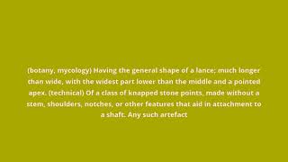 what is the meaning of lanceolate