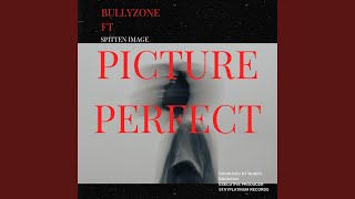 Picture Perfect (feat. Spitten Image)