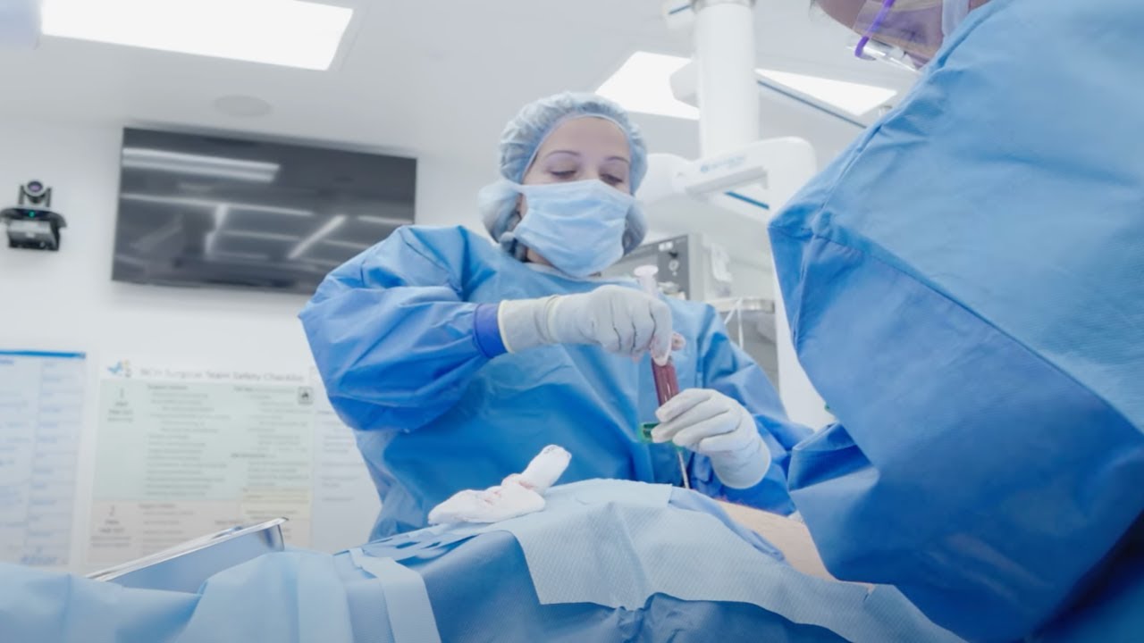 Inside the Blood and Marrow Transplant (BMT) Program / Meet Dr. Abu-Arja