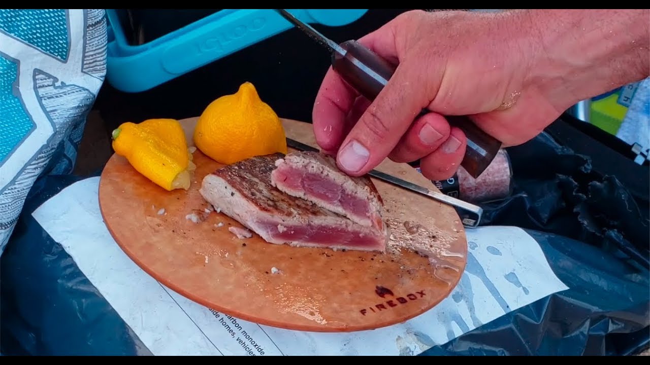 Grilling On The Beach! Steak, Mahimahi And Ahi Tuna Firebox Camping