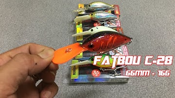 Mồi câu cá Mú Minnow Fatboy C28