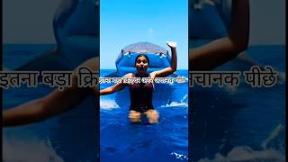 पीछे क्या है… उसे पता ही नहीं 😨 #facts #viralvideo #scary #tranding #factvideo #reels