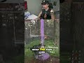 Escalation T10 surprised me (The Division 2)
